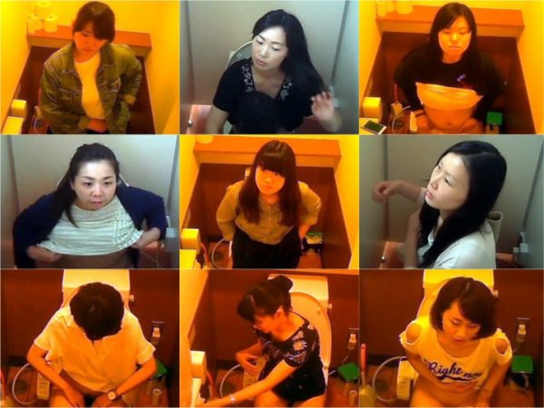Toilet Spy Cam 秘密の花園　其の二十五 Toilet Voyeur Japanese Girls