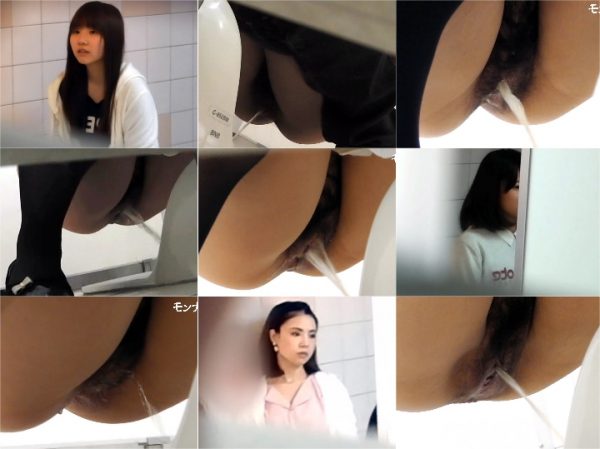 Spy Camera Girls on the Toilet Reiwajapanwc010 こんな清楚なオマンコは淑女の�.
