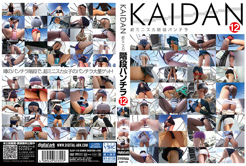 SLAP-110 KAIDAN12 デジタルアーク