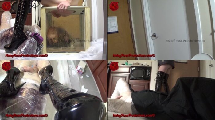 Haley Rose Productions – 12 Hours Locked in Toilet Box Part 2