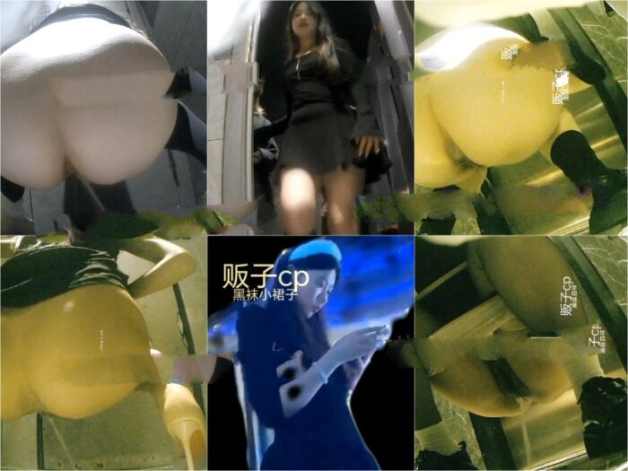 Spy Camera China Toilet Voyeur sifangktv 2214-2216