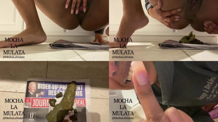 MochaLaMulata – Shitting in Donald Krumps face