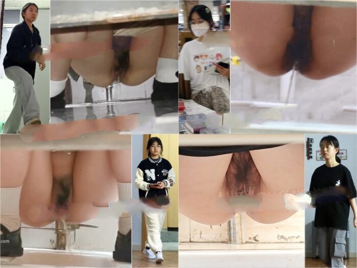 Public Restroom Toilet Shots Hodgepodge 1-3