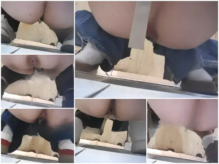 Public Restroom 公衆トイレの裏では、たくさんの女神たちがあなたの顔に向かって両方の穴を開けてトイレを使用する様子が撮影されていました。