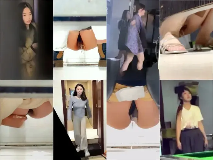 digicamcontrol China Toilet Voyeur sifangktv 1695