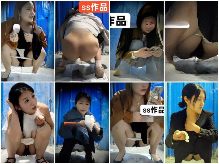 digicamcontrol China Toilet Voyeur sifangktv 2611-2613