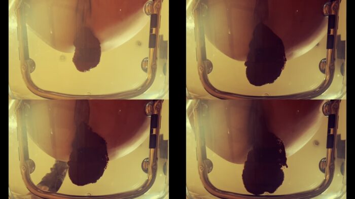 Arisdark – Poop in transparent chair