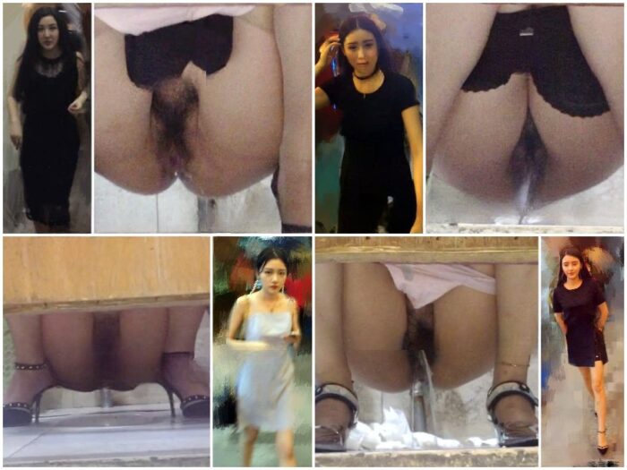 Girls on the Toilet 『Bingchenシリーズ：究極の女神』 – トイレ盗撮コレクション完全版（全4セット中 第2弾） | …