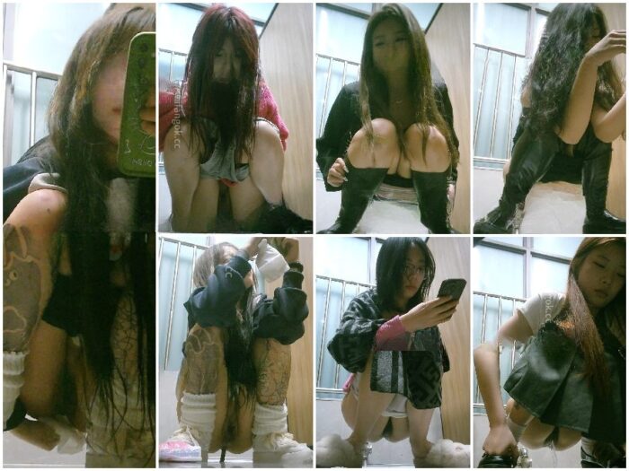 Public Restroom 【エリート・トイレ盗撮 6】高級オフィスビル：トイレを利用する女神たち