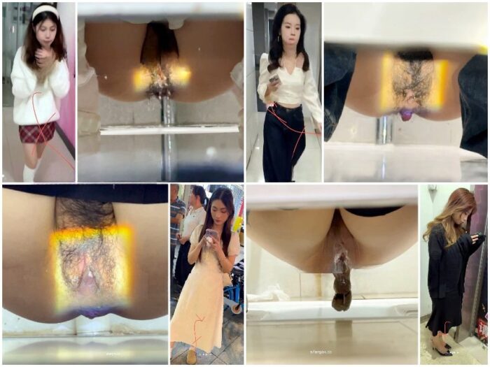 Hidden Cam Toilet 【トイレ盗撮】強引な撮影と照明 – スマホの鮮明なピントがマンコとアナルを丸出しに