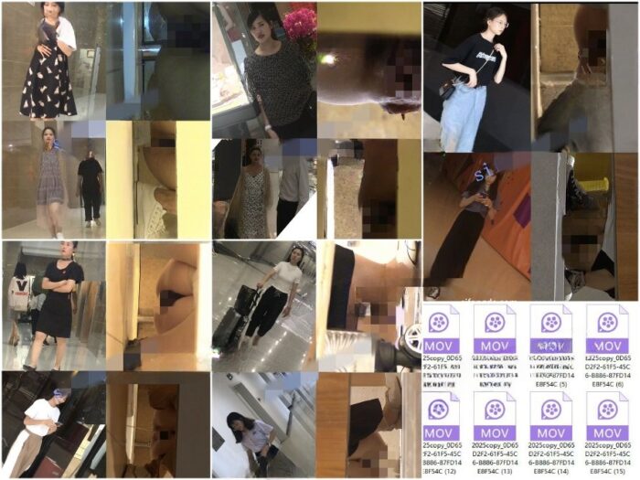 Public Restroom ❤️クラシックなトイレ写真回顧展:「膣を見る」初のHD版