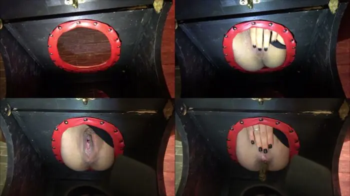 padronagaia – Mistress Gaia – Only for you, toilet slave!