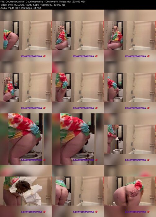 CountessXxxtina – Countessxxxtina – Destroyer of Toilets