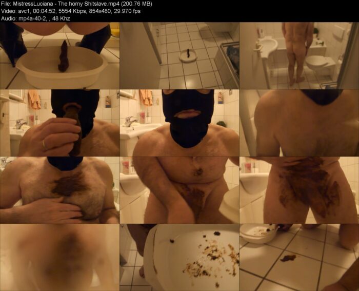 MistressLuciana – The horny Shitslave