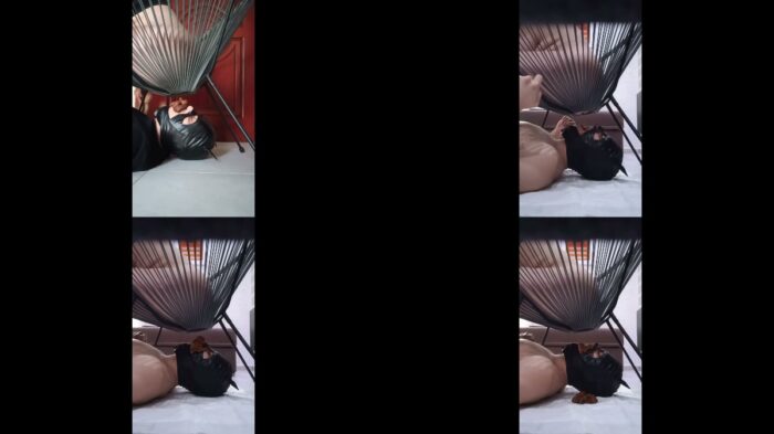 DommeAndreea – Foot feeding while my toilet eat fresh poo