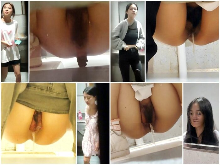 digicamcontrol China Toilet Voyeur sifangktv 2914-2916
