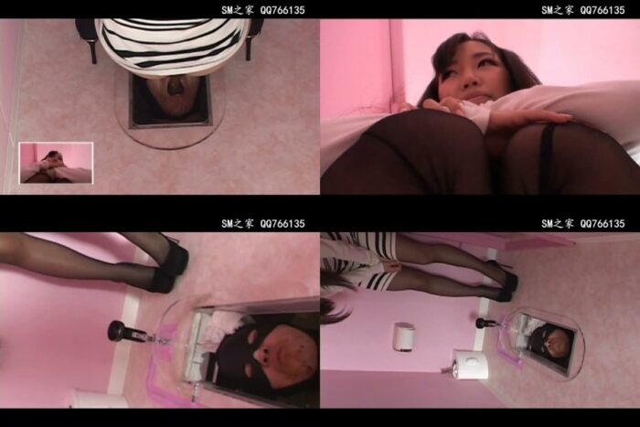 Fetidistrojp – Human toilet receives a log!