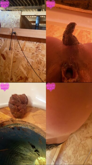 Kitty Skatt – POV hookup in festival toilet