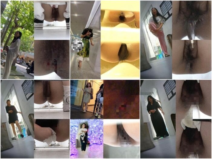 Public Restroom 【新作流出】トイレ盗撮の達人による高画質映像。ショッピングモール、オフィスビル、ビリヤード場の女子トイレにて、ス…
