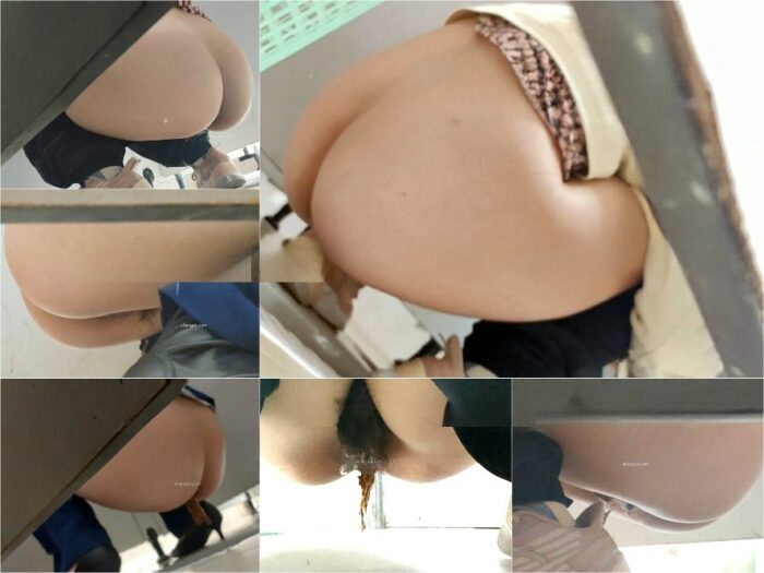 Girls on the Toilet 濃厚トイレ撮影 某航空専門学校に潜入盗撮~極上スチュワーデス美女たちを徹底撮影 214V