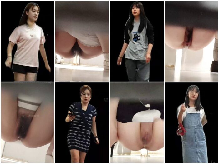 digicamcontrol China Toilet Voyeur sifangktv 2983-2985